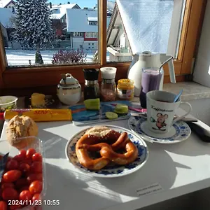 Apartment Allgaeu Vibes - Fusslaeufige Erreichbarkeit Vom Bahnhof, Mit Aussicht, Wettergeschuetzter Balkon, Oberstaufen